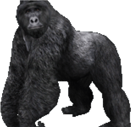 Gorilla Png Transparent Images - Portable Network Graphics (640x480), Png Download