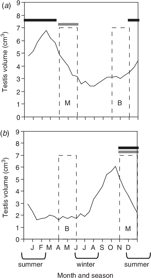 Timing Of Elevated Luteinizing Hormone In Male And - Diagram (539x986), Png Download