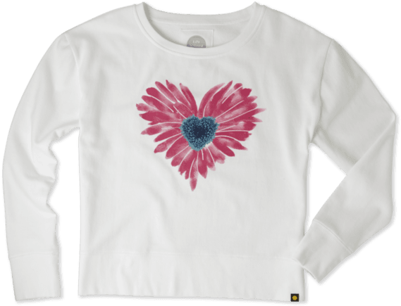 African Daisy (570x570), Png Download