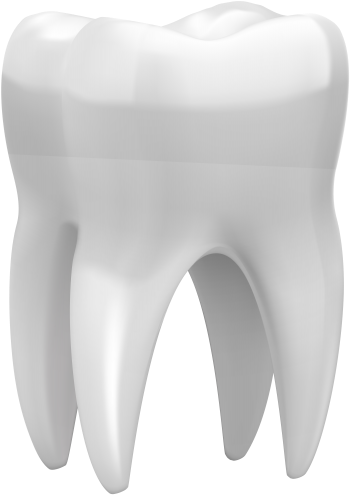 D Clip Art Picture Download - Png Treeth 3d (361x500), Png Download