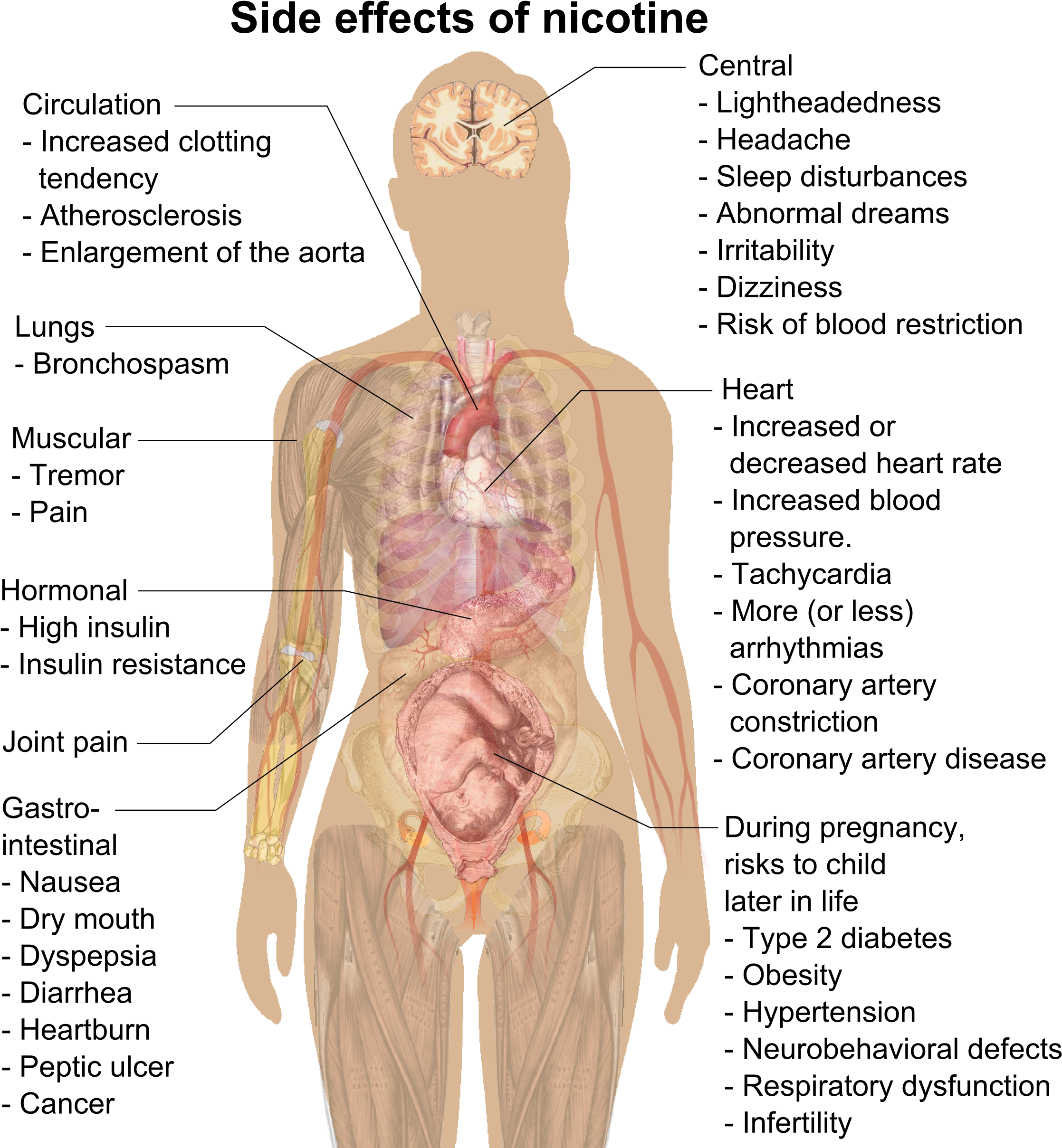 Side Effects Of Nicotine - Vape Dangers (2277x2442), Png Download