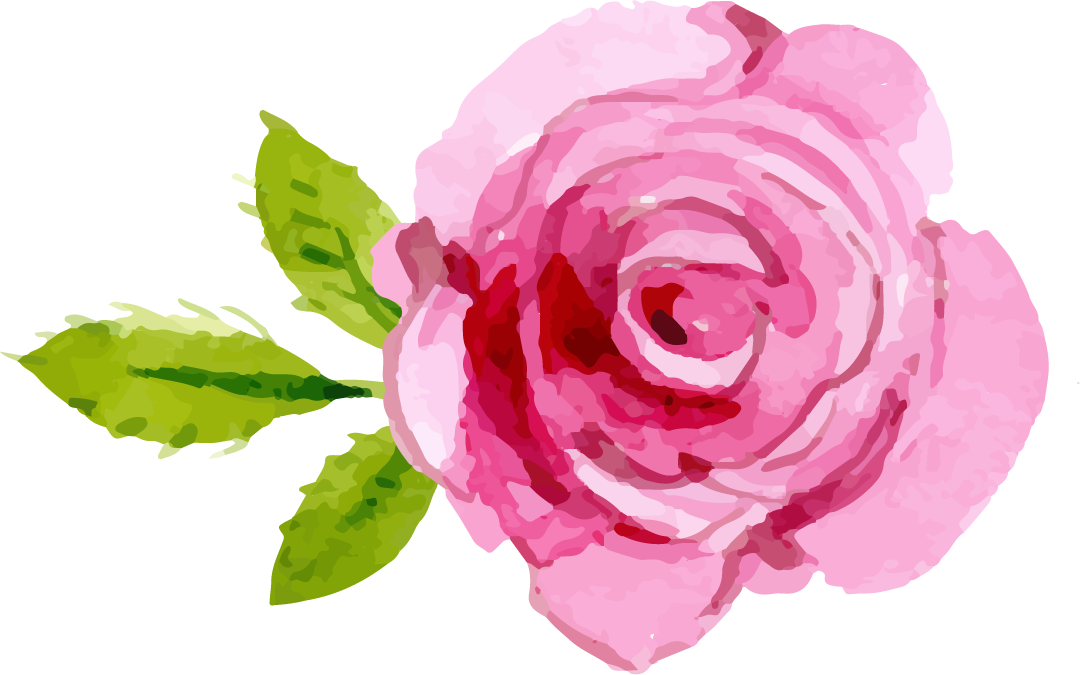 Rose Png Images A Flower That Speaks - Pink Rose Png Transparent (1080x675), Png Download