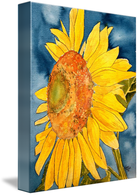 Sunflowers Png Simple Watercolor - Gallery-wrapped Canvas Art Print 11 X 14 Entitled Sunflower (459x650), Png Download