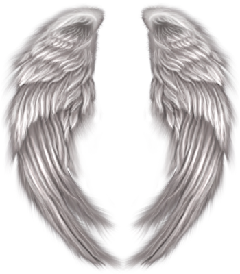 Mystic Wings - Soul Mates & Angels (350x400), Png Download