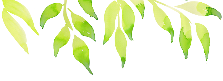 Header Green Leaves Left - Darkness (757x541), Png Download