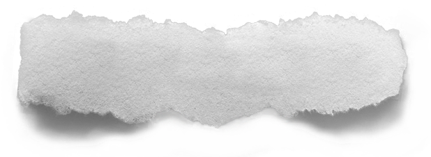 Similar Galleries Png Transparent Background Png Transparent - Transparent Clear Background Png (631x225), Png Download