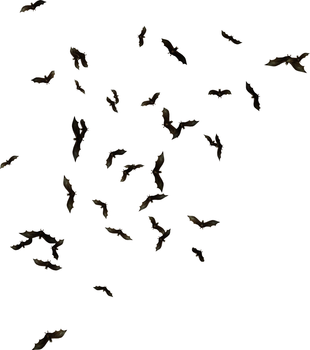 Bats Png Picture Library Download - Batman Bats Png (1000x1130), Png Download