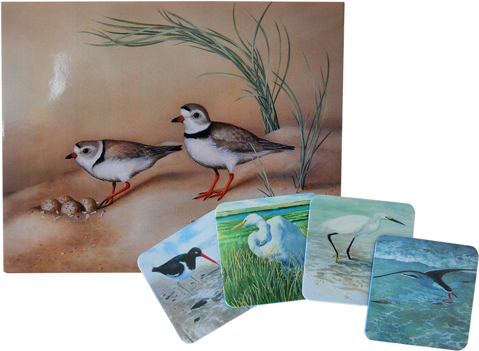 Coasters & Placemats - Placemat (1024x793), Png Download