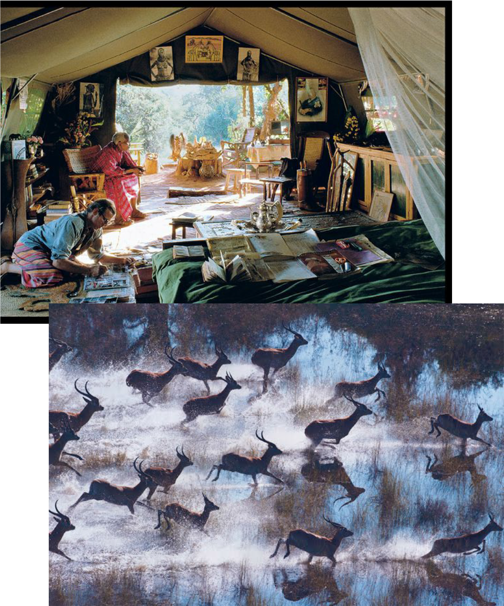 Jordan Again Plays With Proportions To Affect A Confident, - Peter Beard (1988x2708), Png Download