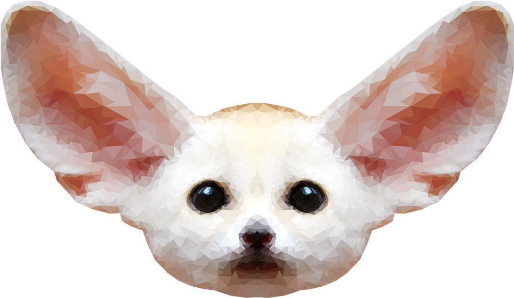Fennec Fox Png Free Download - Pup Fennec Fox As Baby (1024x919), Png Download