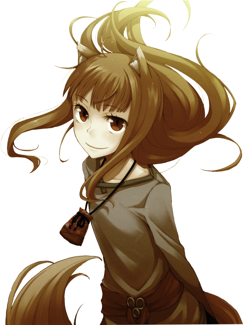 Spice And Wolf Png File - Spice And Wolf Holo Fanart (1024x1140), Png Download