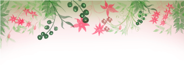 Flower Floral Border Png Background, Border, Background, - Png พื้น หลัง ดอกไม้ (640x640), Png Download