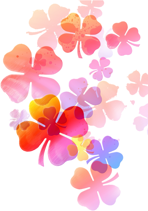 Flower,soft,drawing,soft Flower,floral, - Wish You A Many Many Happy Returns (500x752), Png Download