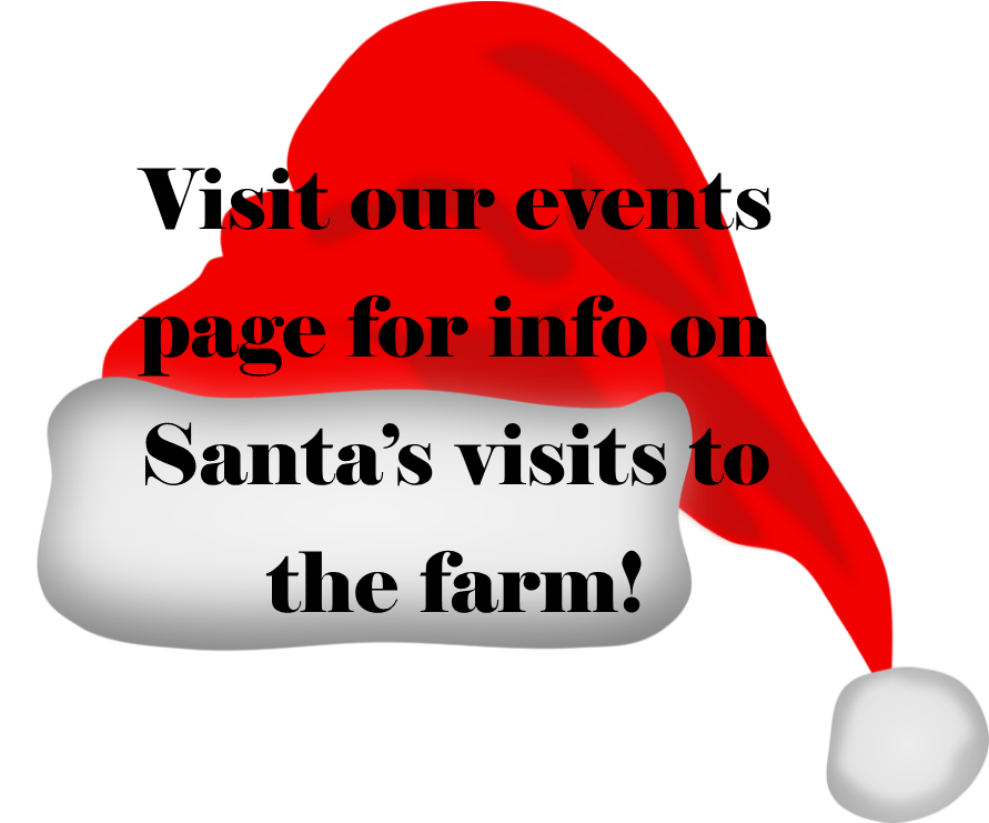 Santa Hat - Clip Art Santa Hat (901x740), Png Download