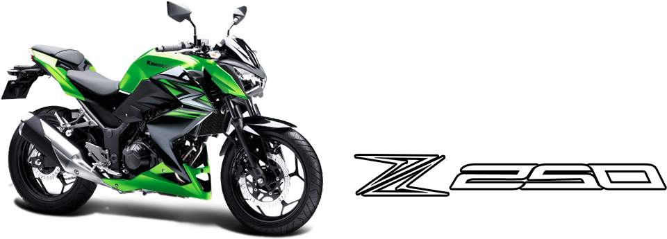 Kawasaki Z250 - Kawasaki Z250 Vs Duke 250 (1090x344), Png Download