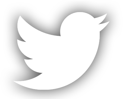 Twitter Logo - White Twitter Logo Svg (440x320), Png Download