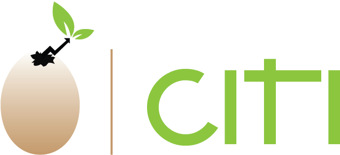 Elegant, Playful, Financial Logo Design For Startup - Emona (1200x1000), Png Download