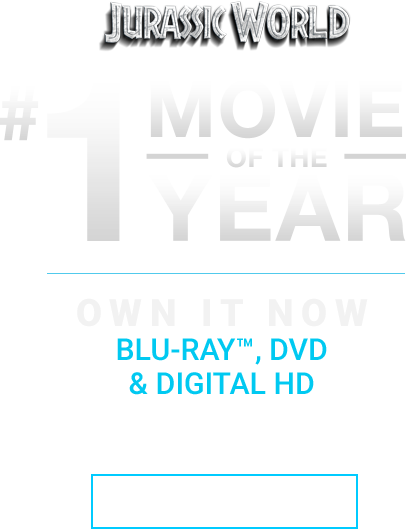 Thank U God For Giving Me Another Year (406x529), Png Download