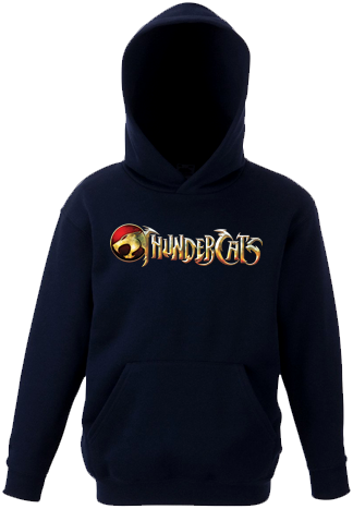 Thundercats Season One Book One (dvd) (324x467), Png Download