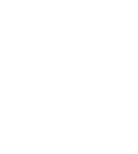 Lawbringerorder - Skull (566x601), Png Download