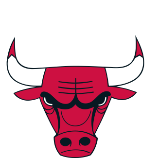 Logo For Chicago Bulls - Chicago Bulls (500x500), Png Download