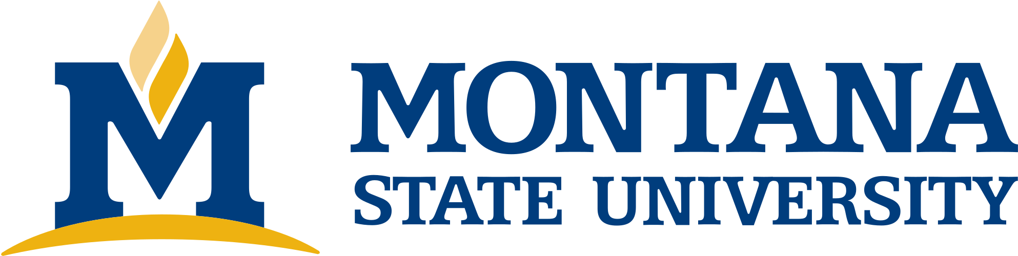 Msu Logo - Montana State University Bozeman Logo (2000x515), Png Download