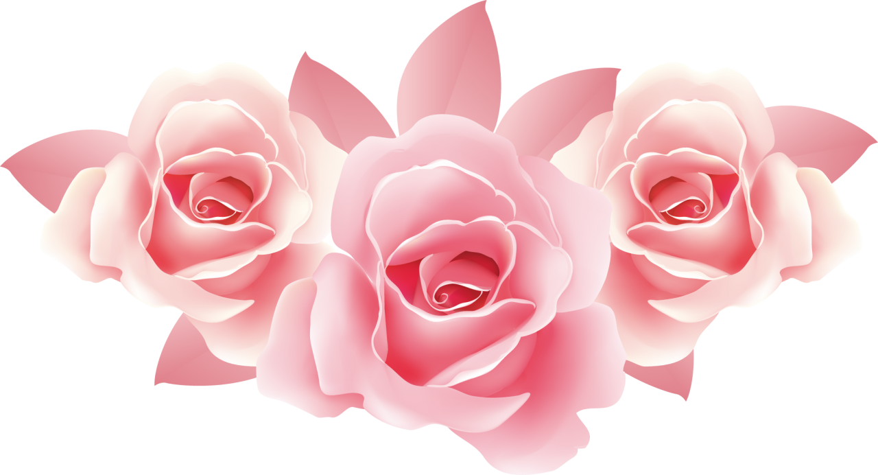 Visit - Marcos De Fotos Rosas (1280x692), Png Download