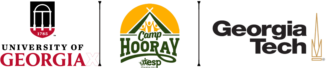 Entity Logo Will Appear On Opposite Sides Of The Page - Pro Mark Dst3u021 Georgia Tech Decal - Pack (1200x314), Png Download