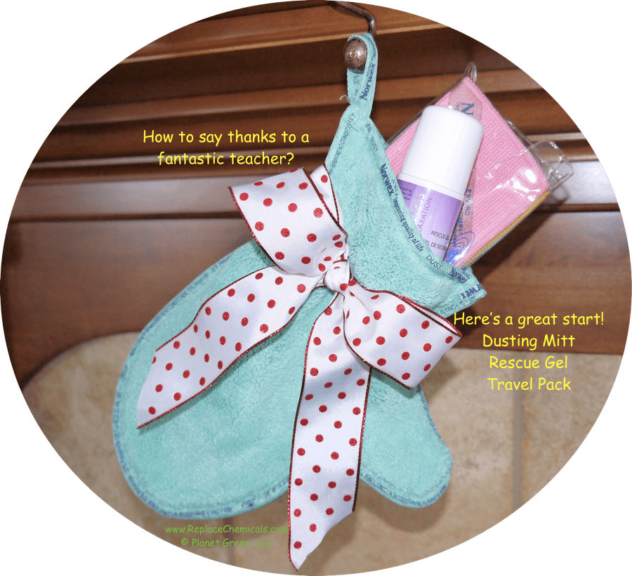 Best Teacher Gift - Norwex Christmas Gift (900x820), Png Download