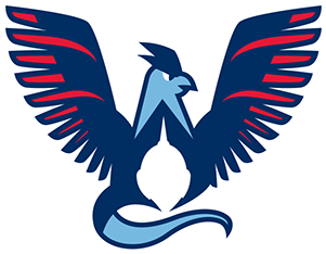 18 Jul - Native American Traditional Bustle (600x338), Png Download