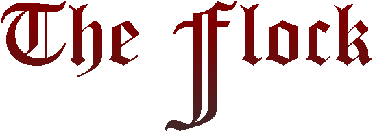 Stanford Daily (587x223), Png Download