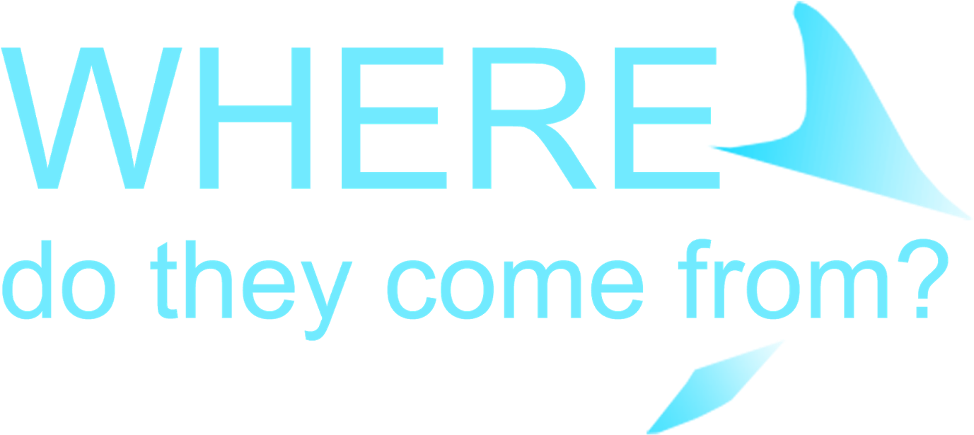 When You Visit A Dolphinarium, Such As The 'seas With - Personalizable Photo Throw Blanket (1600x1000), Png Download
