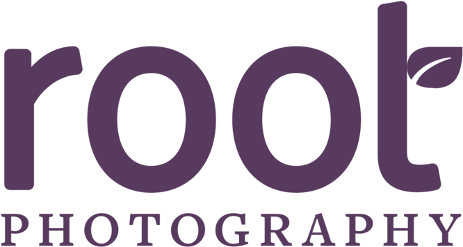 Bridesmaids On Peabody Memphis Rooftop - Engagement At Rollins College (1024x373), Png Download