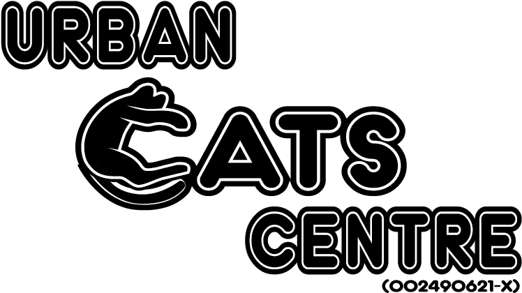 Urban-cat Logo - Information (842x595), Png Download