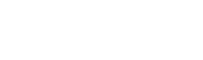 Chris Petschler - Obsession Of India Paisley (882x276), Png Download