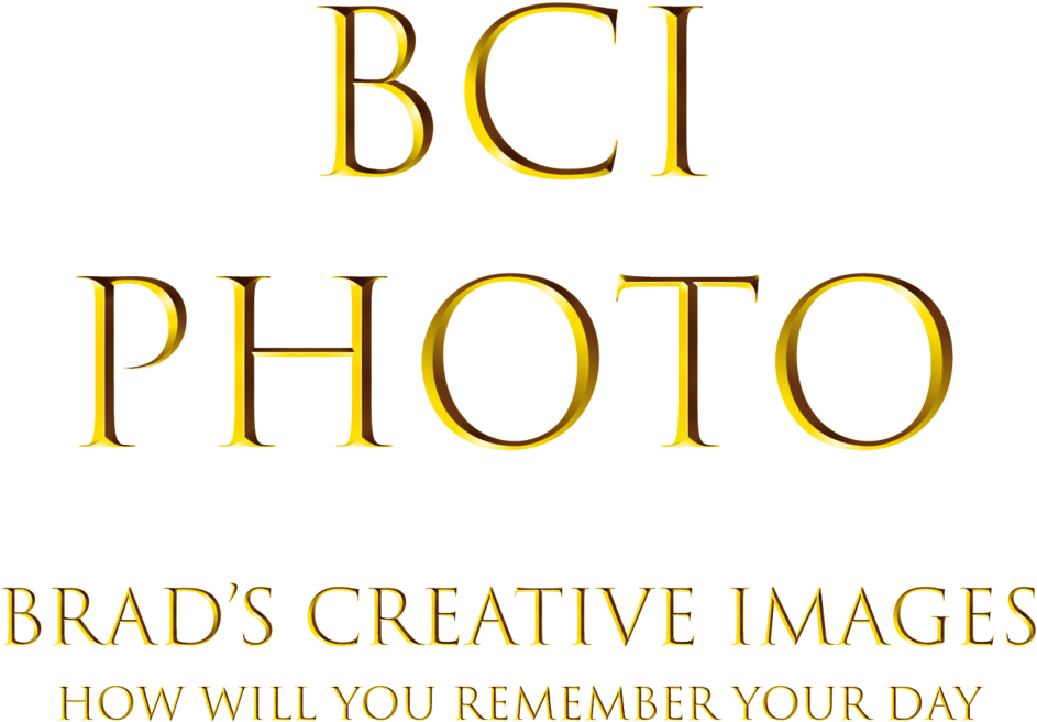 Florida Beach Wedding Portrait Through Antique Doors - Graphics (1024x1024), Png Download