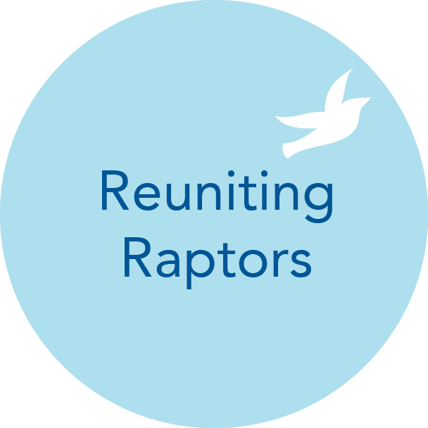 Reuniting Raptors - Circle (608x608), Png Download