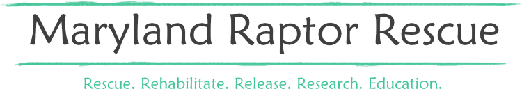 Maryland Raptor Rescue - Maryland Raptor Rescue, Inc. (797x218), Png Download