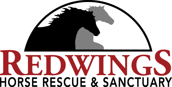 Redwings Horse Sanctuary Logo (592x300), Png Download