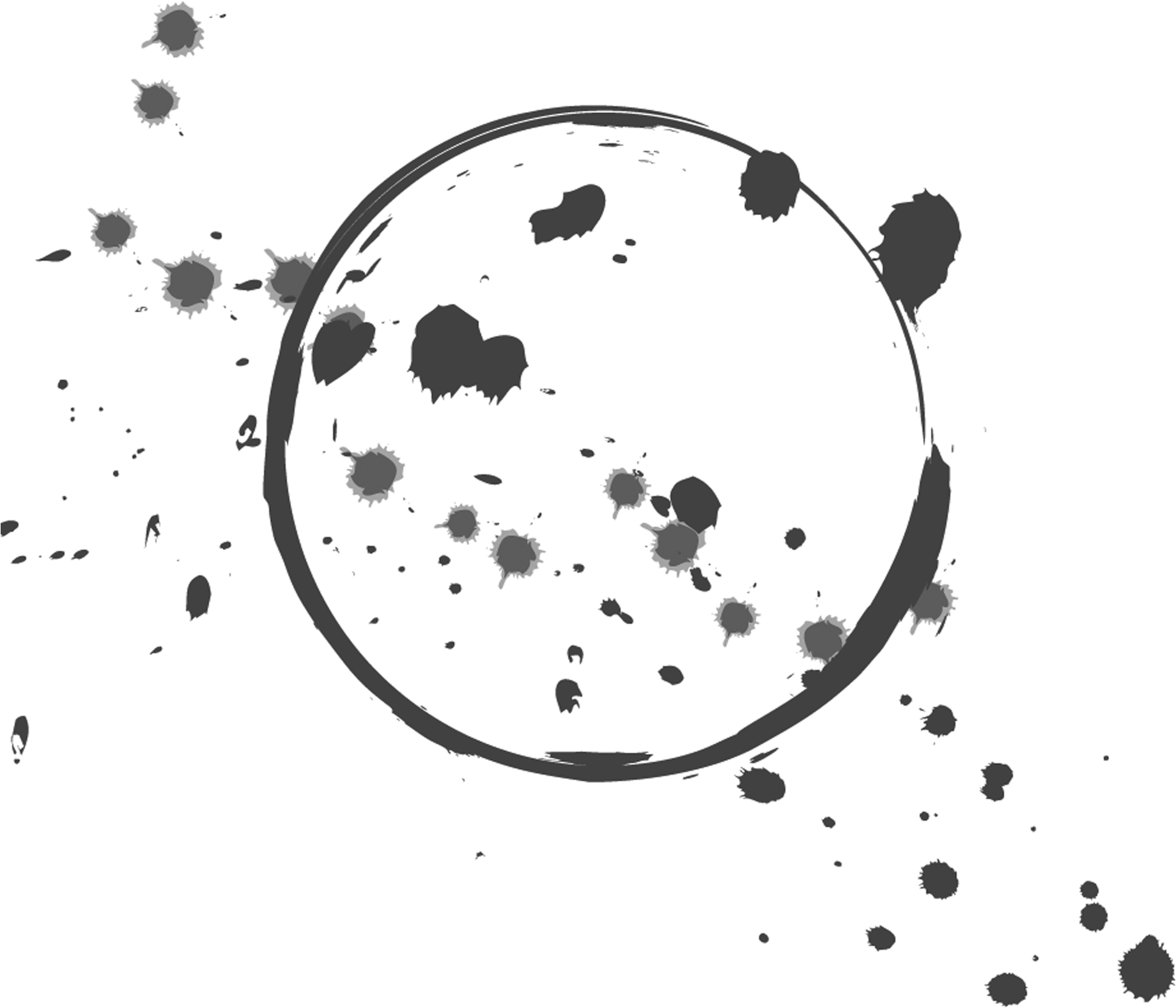 This Makes It One Of The Best Feni Around Goa - Resource (1920x1776), Png Download