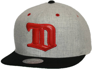 Detroit Red Wings Leather Logo Snapback Hat - Top Logo Snapback (421x480), Png Download