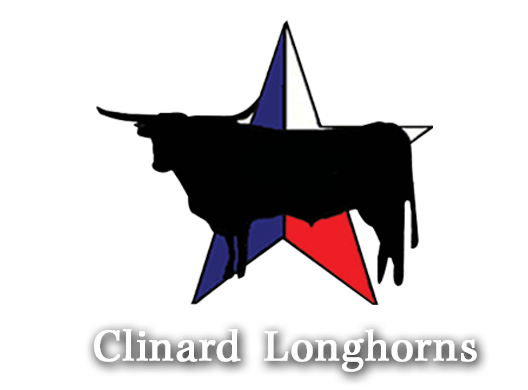 Texas (528x390), Png Download