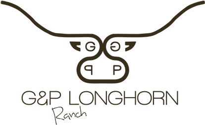 Longhorns - Texas (441x275), Png Download