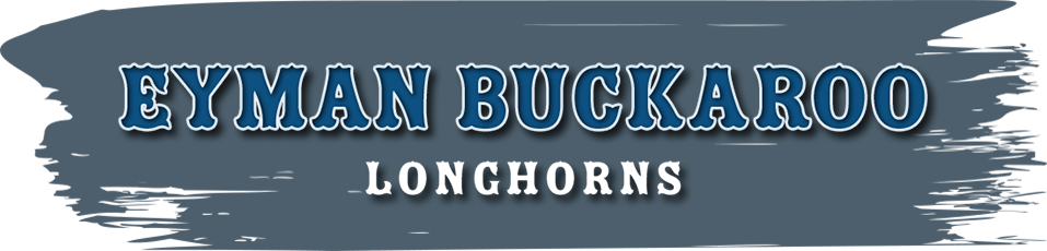 Eyman Buckaroo Longhorns Logo - Texas Longhorns Football (957x230), Png Download