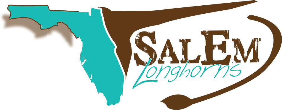 Welcome To Salem Texas Longhorns Located In Ocala, - Ocala (952x371), Png Download