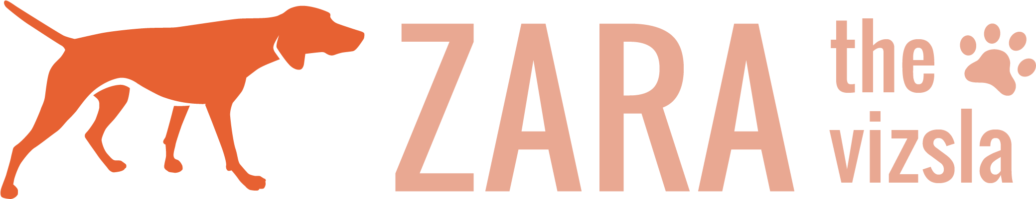 Zara The Vizsla - Zara Home (2385x758), Png Download