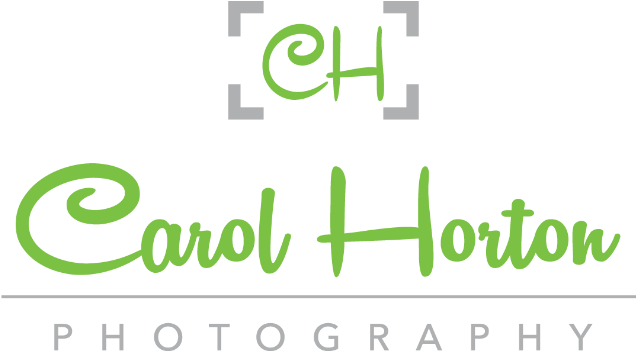 Logo - Carol Horton Photography (644x350), Png Download