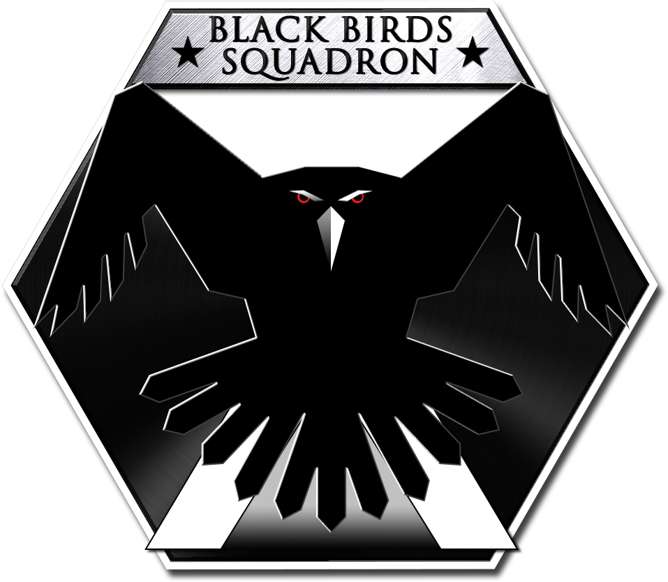 Black Birds Squadron - Video Game (1000x1000), Png Download