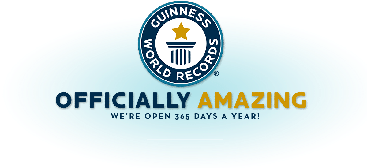 Hollywood Gwr Tagline1 Guinness World Records Officially Amazing Full Size Png Download Seekpng