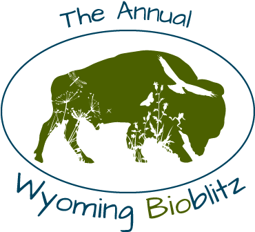 Wyoming Bioblitz - Audubon Rockies (400x353), Png Download